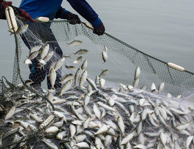 FISHERFOLK AND FARMERS TO BE ALLOWED TO ENGAGE IN THEIR TRADE DURING LIMITED OPERATION DAYS